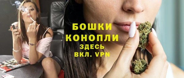 не бодяженный Каменногорск