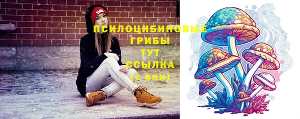 не бодяженный Каменногорск
