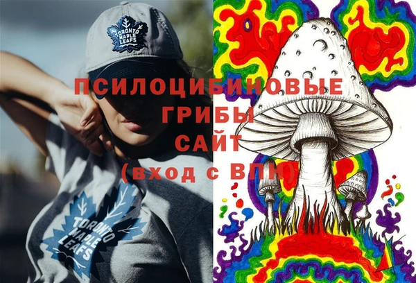 кокаин премиум Каменка