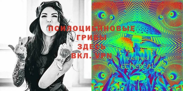 Альфа ПВП Карталы