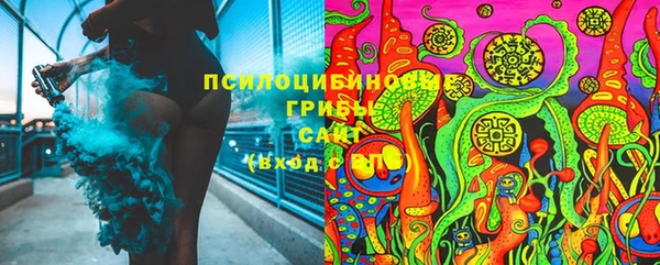не бодяженный Каменногорск