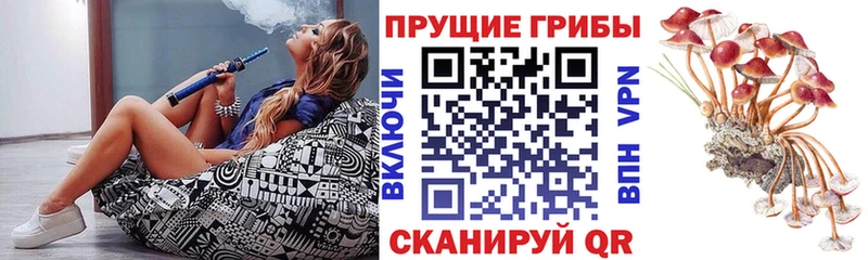 Галлюциногенные грибы Cubensis  OMG tor  Щёлкино 